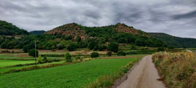 Gravel road through the green volcanic landscape of La Garrotxa